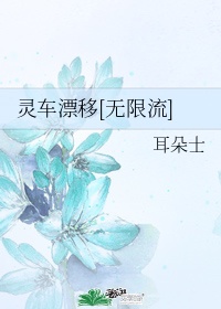 灵车漂移无限流